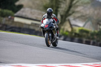 Oulton-Park-21st-March-2020;PJ-Motorsport-Photography-2020;anglesey;brands-hatch;cadwell-park;croft;donington-park;enduro-digital-images;event-digital-images;eventdigitalimages;mallory;no-limits;oulton-park;peter-wileman-photography;racing-digital-images;silverstone;snetterton;trackday-digital-images;trackday-photos;vmcc-banbury-run;welsh-2-day-enduro